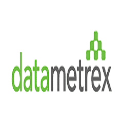 Datametrex logo